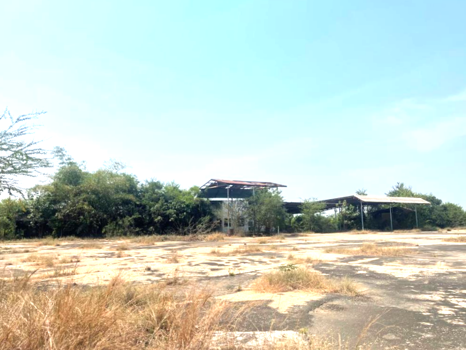 ที่ดิน ชัยนาท