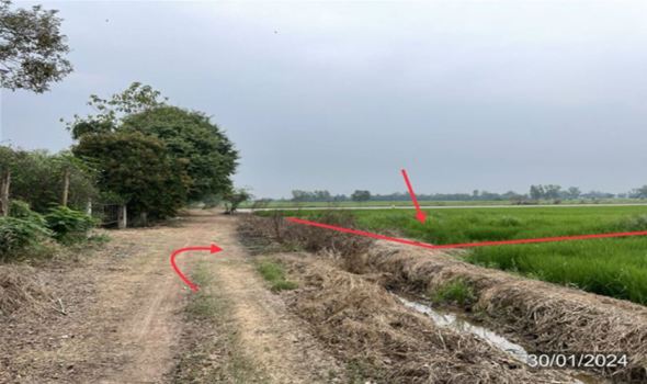 ที่ดิน พิษณุโลก