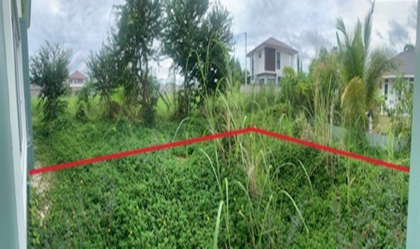 ที่ดิน พิษณุโลก