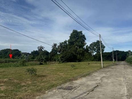 ที่ดิน พิษณุโลก