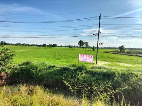 ที่ดิน พิจิตร