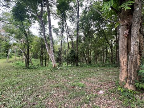 ที่ดิน จันทบุรี
