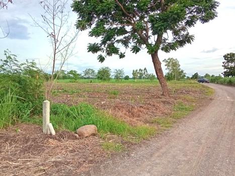ที่ดิน เพชรบูรณ์