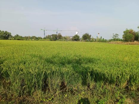 ที่ดิน พระนครศรีอยุธยา