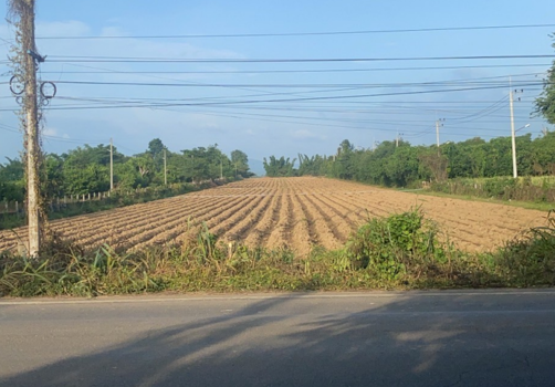 ที่ดิน กาญจนบุรี