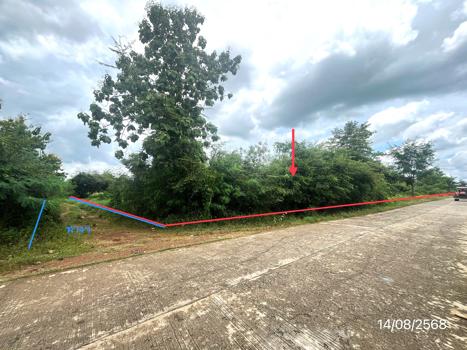 ที่ดิน เพชรบูรณ์
