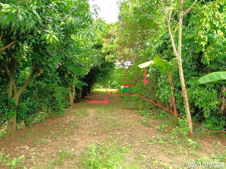 ที่ดิน พิษณุโลก