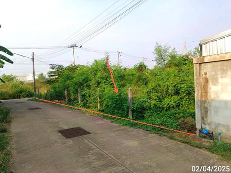 ที่ดิน เพชรบูรณ์