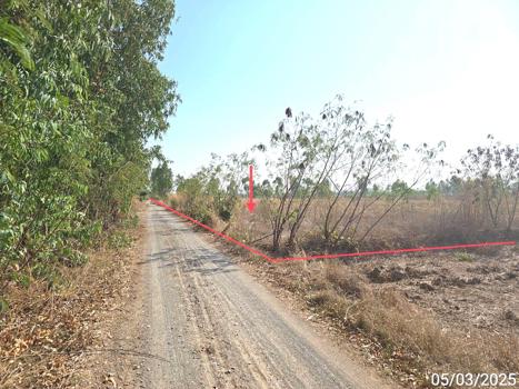 ที่ดิน พิษณุโลก