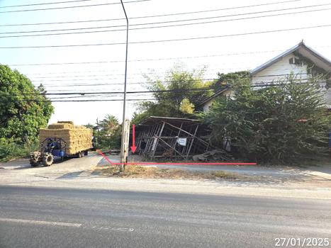 ที่ดิน เพชรบูรณ์