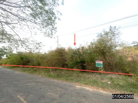 ที่ดิน เลย