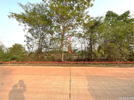 ที่ดิน อุดรธานี