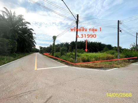 ที่ดิน ตรัง