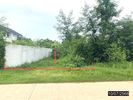 ที่ดิน พิษณุโลก