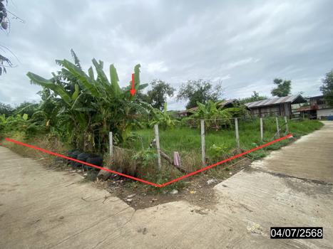 ที่ดิน เลย