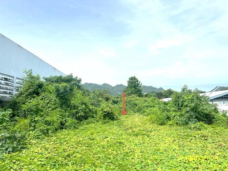 ที่ดิน กาญจนบุรี