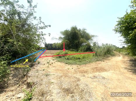 ที่ดิน พิจิตร