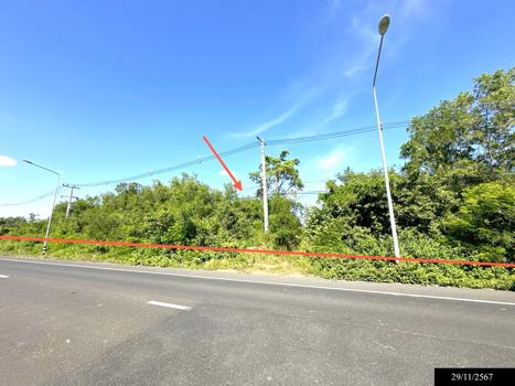 ที่ดิน ยโสธร