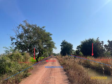 ที่ดิน พิษณุโลก