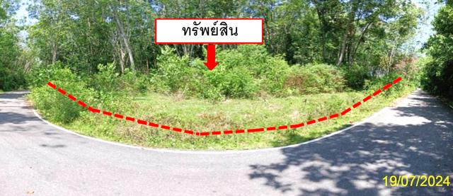 ที่ดิน ยะลา
