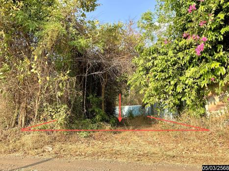 ที่ดิน นครราชสีมา