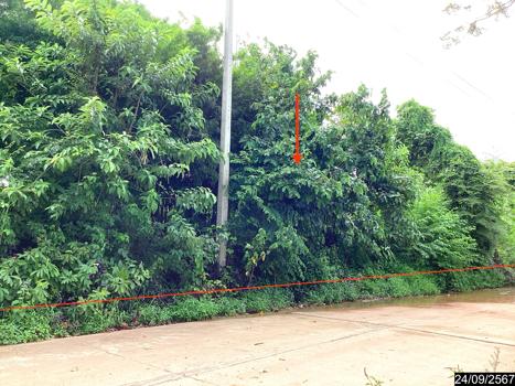 ที่ดิน อุดรธานี
