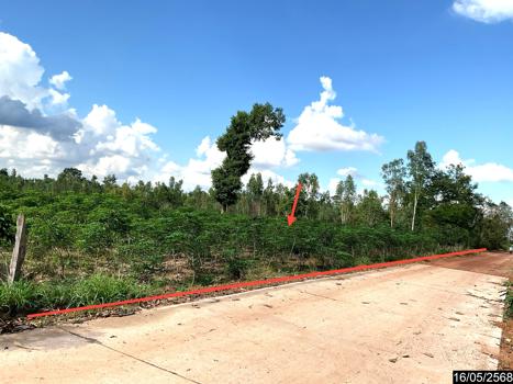 ที่ดิน อุดรธานี