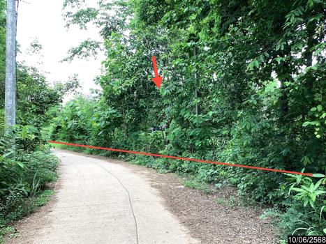 ที่ดิน หนองบัวลำภู