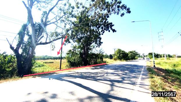 ที่ดิน บึงกาฬ
