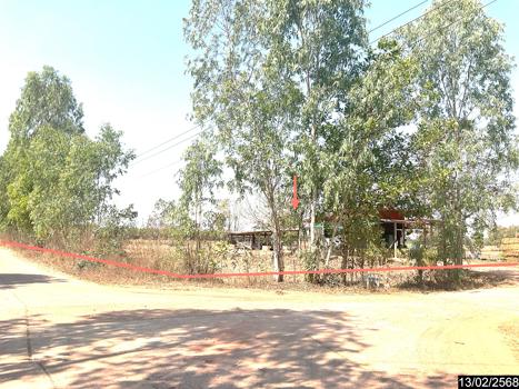 ที่ดิน หนองคาย