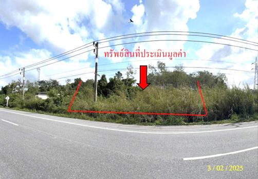 ที่ดิน ยะลา