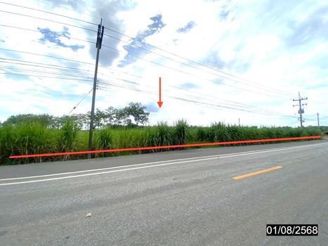 ที่ดิน เลย