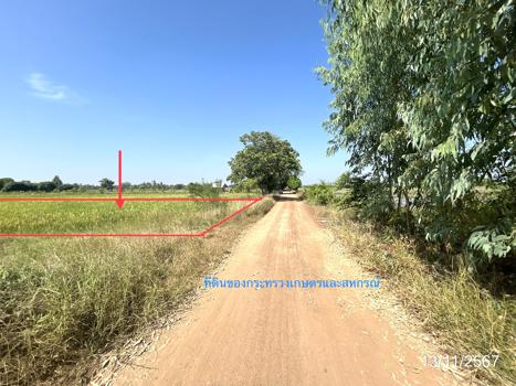 ที่ดิน พิษณุโลก