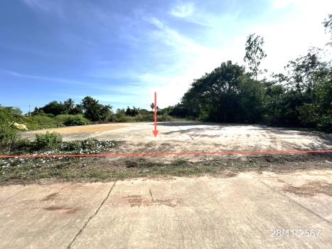 ที่ดิน พิษณุโลก