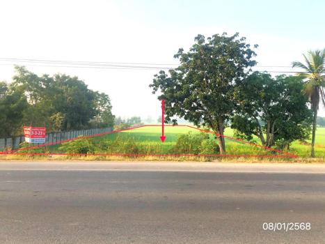 ที่ดิน พิษณุโลก