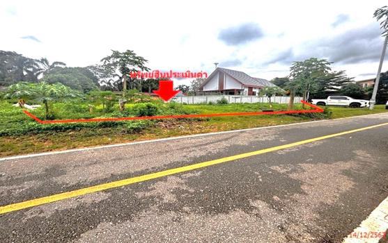 ที่ดิน ตรัง