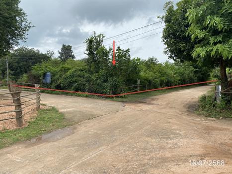 ที่ดิน กาฬสินธุ์