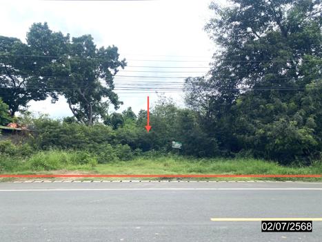 ที่ดิน เพชรบูรณ์