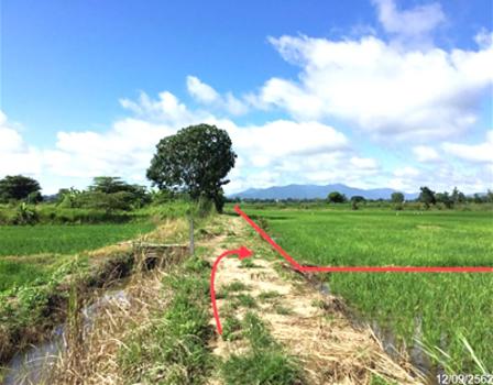 ที่ดิน เชียงราย