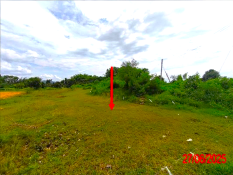 ที่ดิน ลำปาง