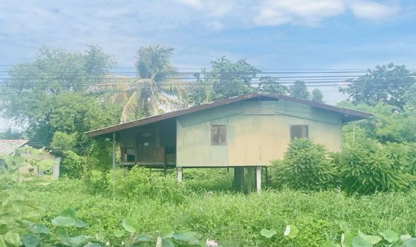 บ้านเดี่ยว พิจิตร
