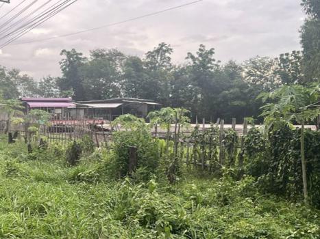 บ้านเดี่ยว หนองบัวลำภู