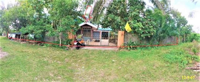 บ้านเดี่ยว นราธิวาส