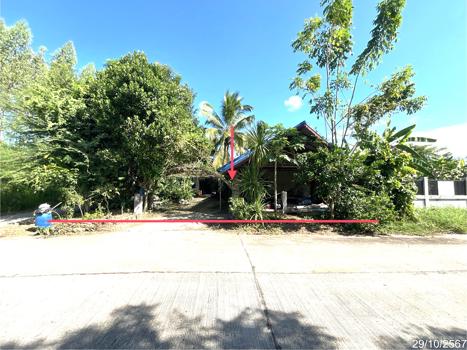 บ้านเดี่ยว หนองบัวลำภู