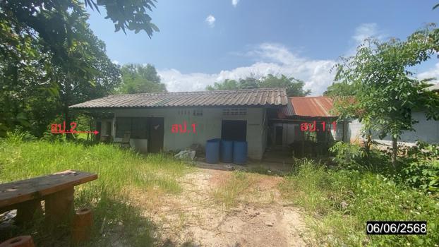 บ้านเดี่ยว เลย