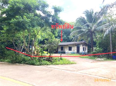 บ้านเดี่ยว สุราษฎร์ธานี
