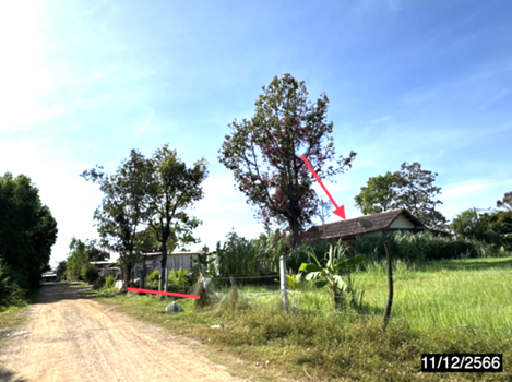 บ้านเดี่ยว ศรีสะเกษ