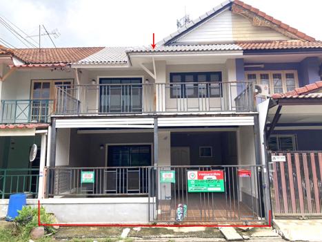 พฤกษา 3