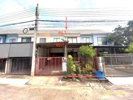 พฤกษา 54/1