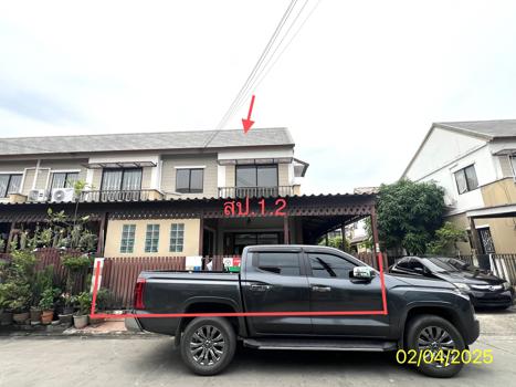 พฤกษา 54